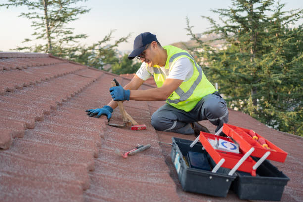 Best Storm Damage Roof Repair  in Kodi Station, AK